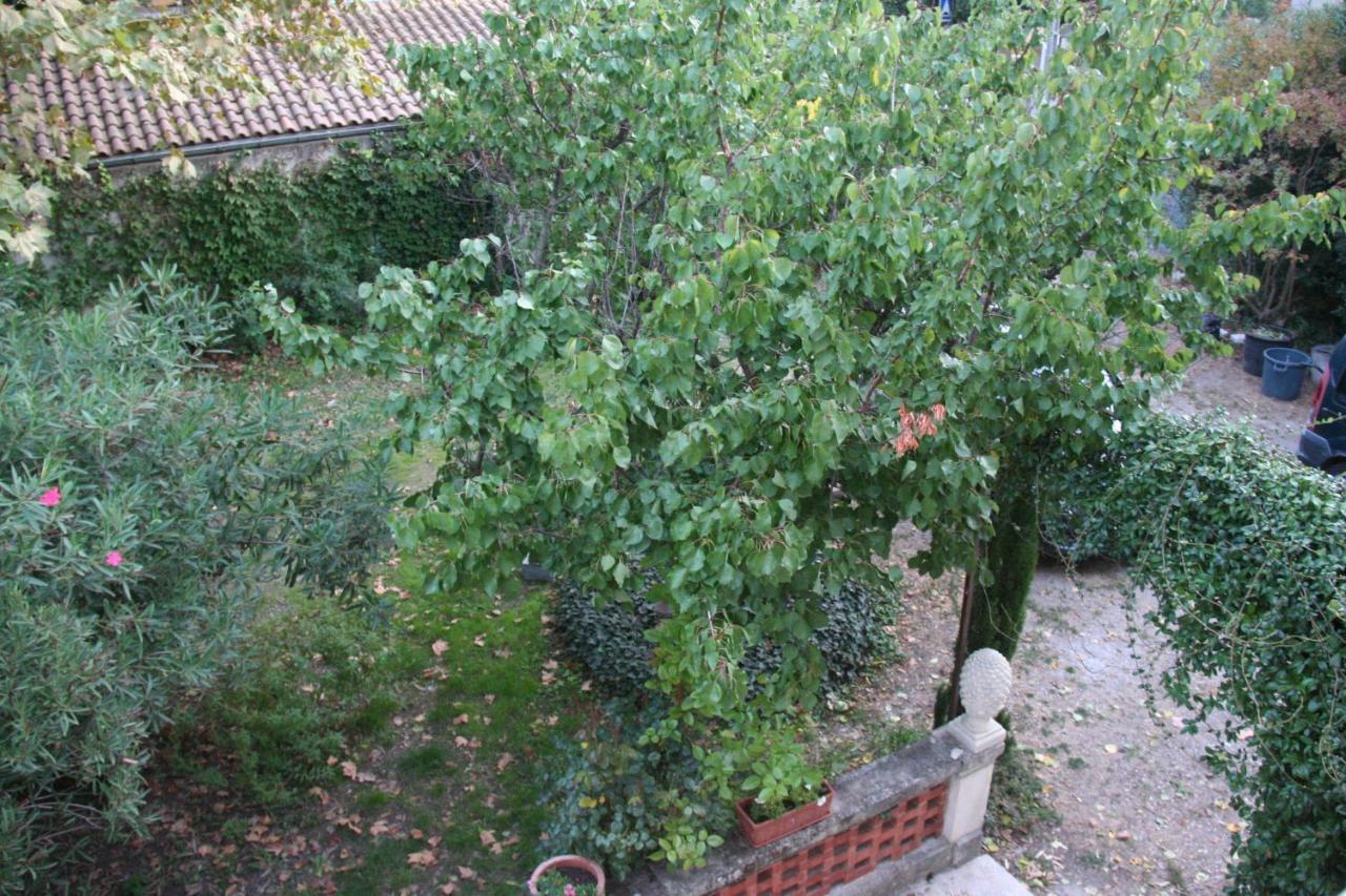 Le Mas Des Dames Appartement Avignon Ngoại thất bức ảnh