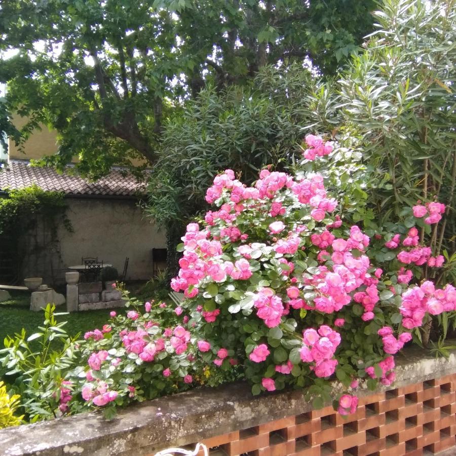 Le Mas Des Dames Appartement Avignon Ngoại thất bức ảnh